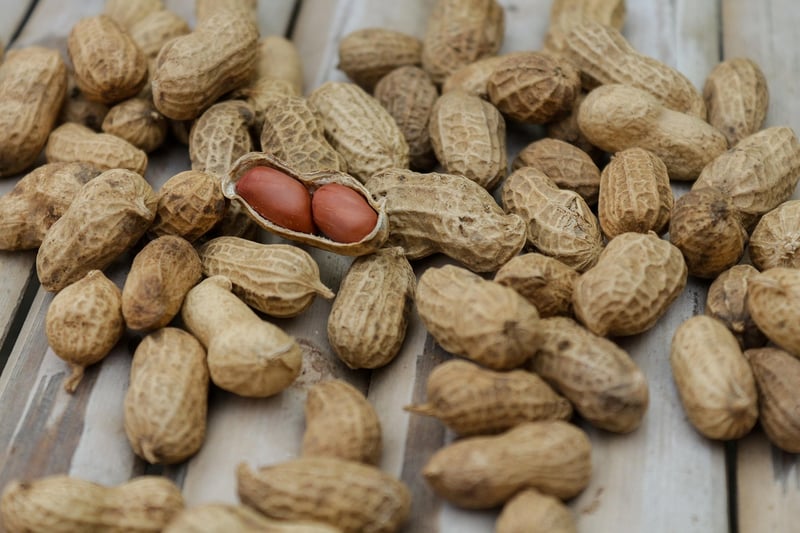 Nutrition Mindfulness